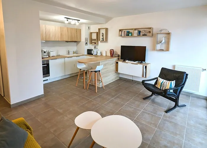 Apartment Beau T2 Avec Terrasse Sud, Proche Bassin, Commerces Et Activites, A - Fr-1-420-139 *