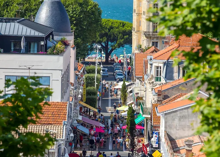 Beau T2 Avec Terrasse Sud, Proche Bassin, Commerces Et Activites, A - Fr-1-420-139 Arcachon